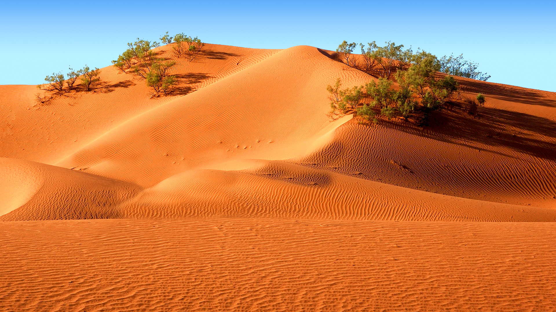 Maroc, les impressionnantes dunes orangées