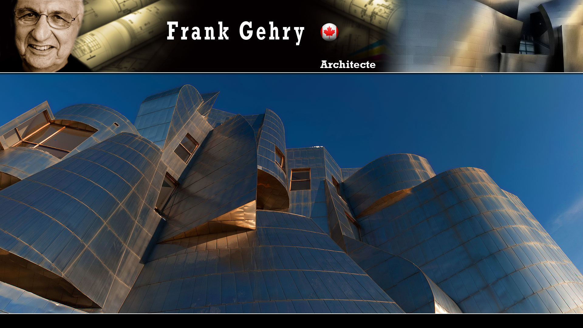 Le Frederick Weisman Art Museum de Minneapolis, par Frank Gehry