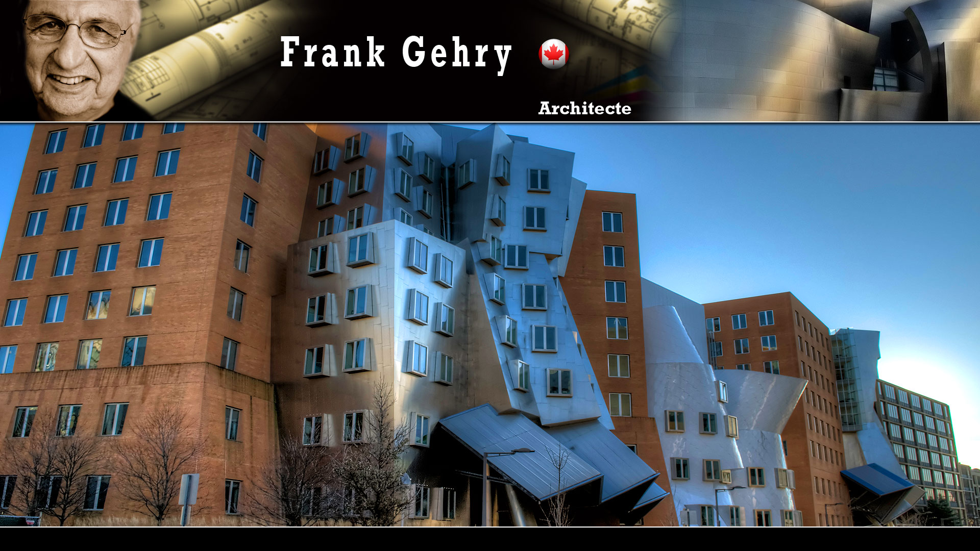 Le Ray and Maria Stata Center du MIT, par Frank Gehry