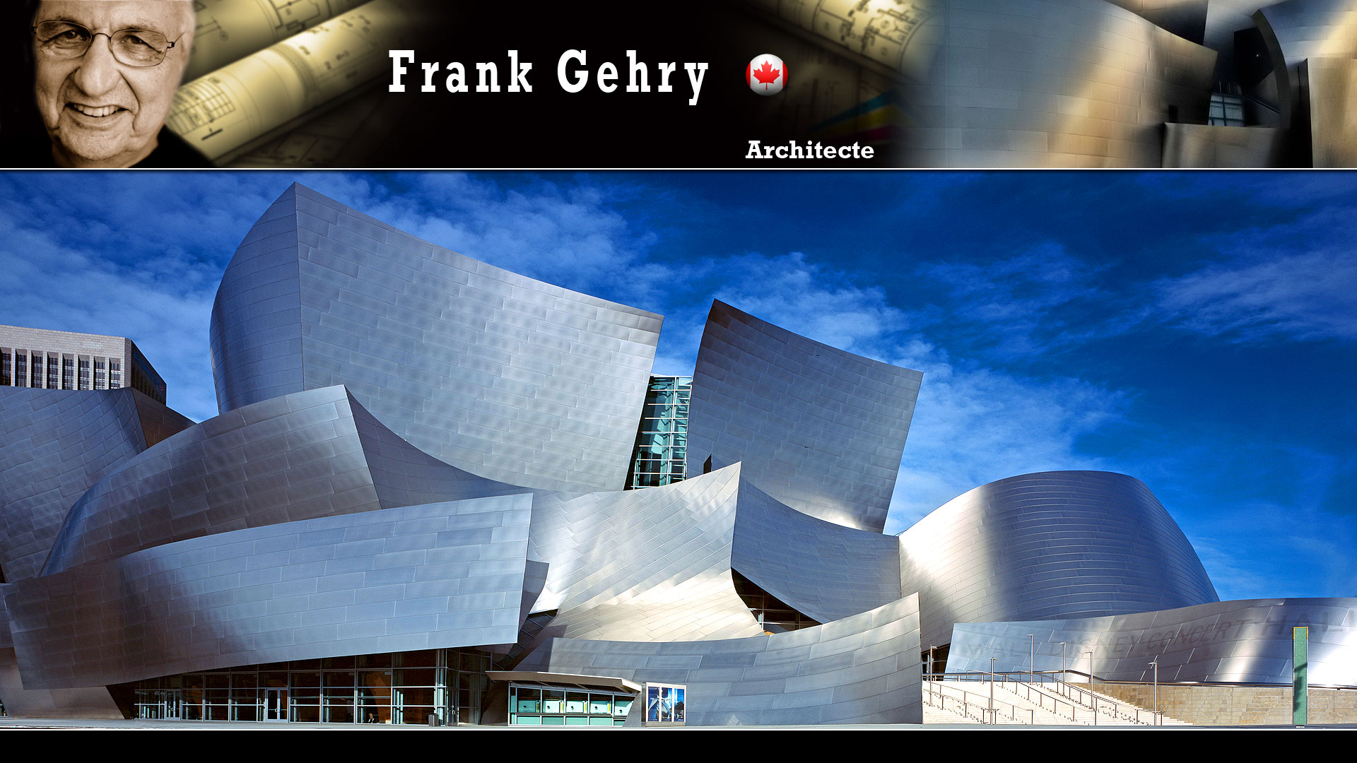 Le Walt Disney Concert Hall à Los Angeles, par Frank Gehry