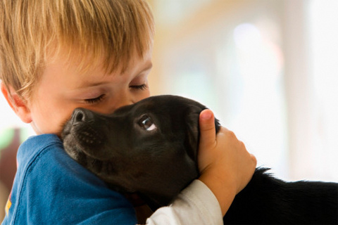 On le sait depuis longtemps,&nbsp;avoir un chien dans l’enfance diminue le risque d’allergie et d’asthme. Dans cette nouvelle étude, des chercheurs viennent de mettre le doigt sur la raison&nbsp;: les bactéries intestinales. © o5com, Flickr, cc by 2.0
