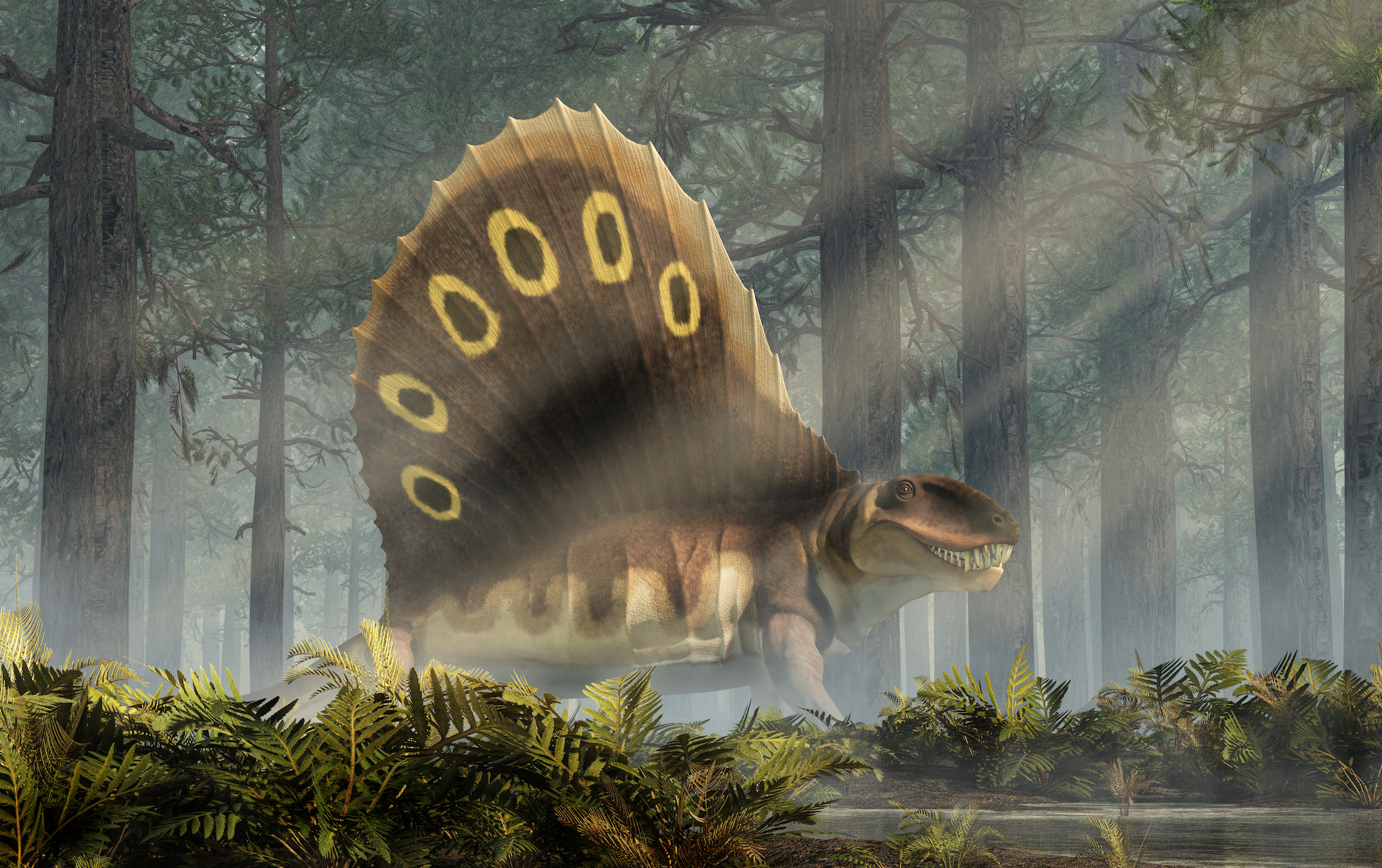 Le monde étrange du Permien n'était pas encore celui des dinosaures. Les paléontologues viennent de retrouver des fragments de peau de reptile datant de cette époque lontaine. © Daniel Eskridge, Adobe Stock