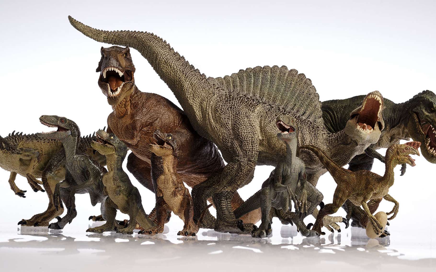 Les dinosaures étaient très diversifiés. © Metha1819, Shutterstock 