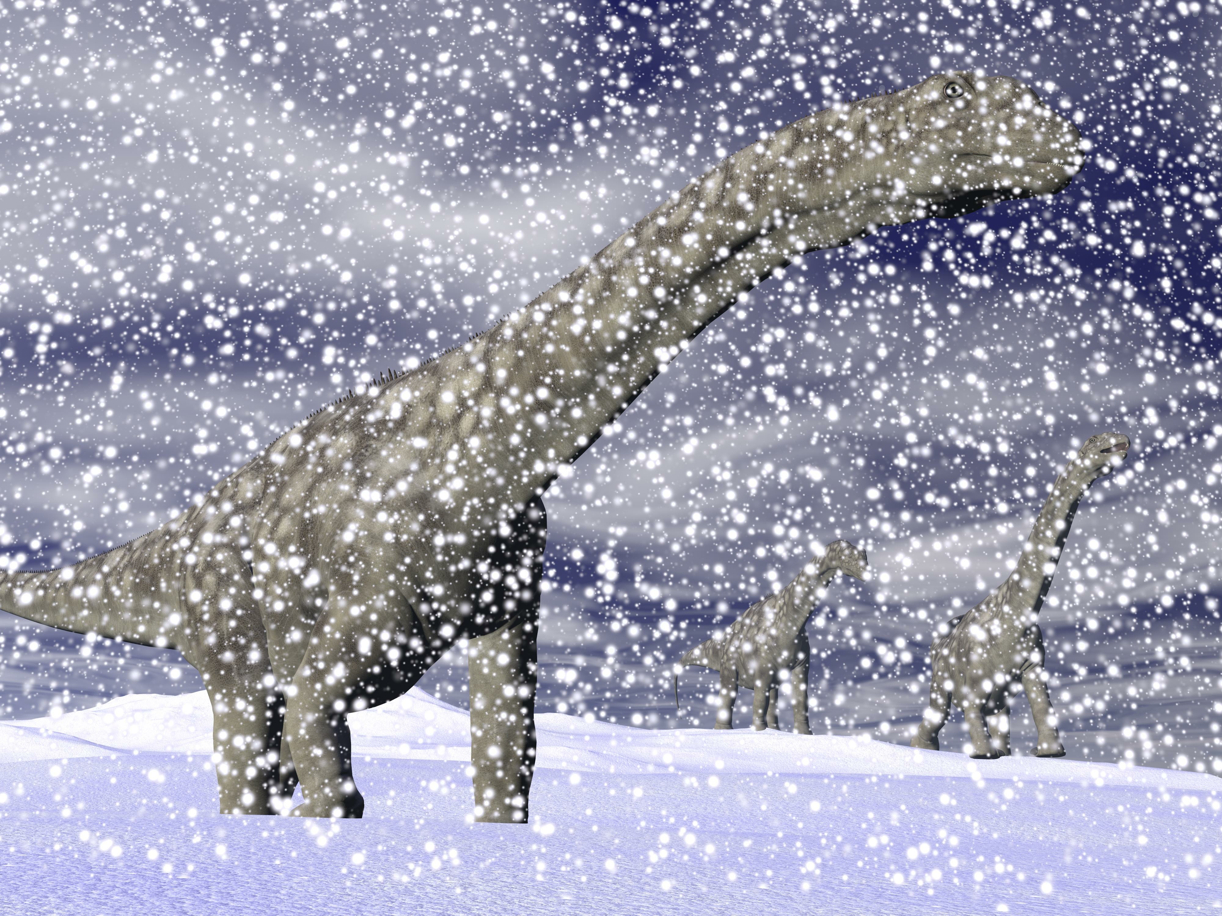 Les dinosaures ont survécu à l'extinction du Trias-Jurassique grâce à leur adaptation au froid. © Elenarts, Adobe Stock