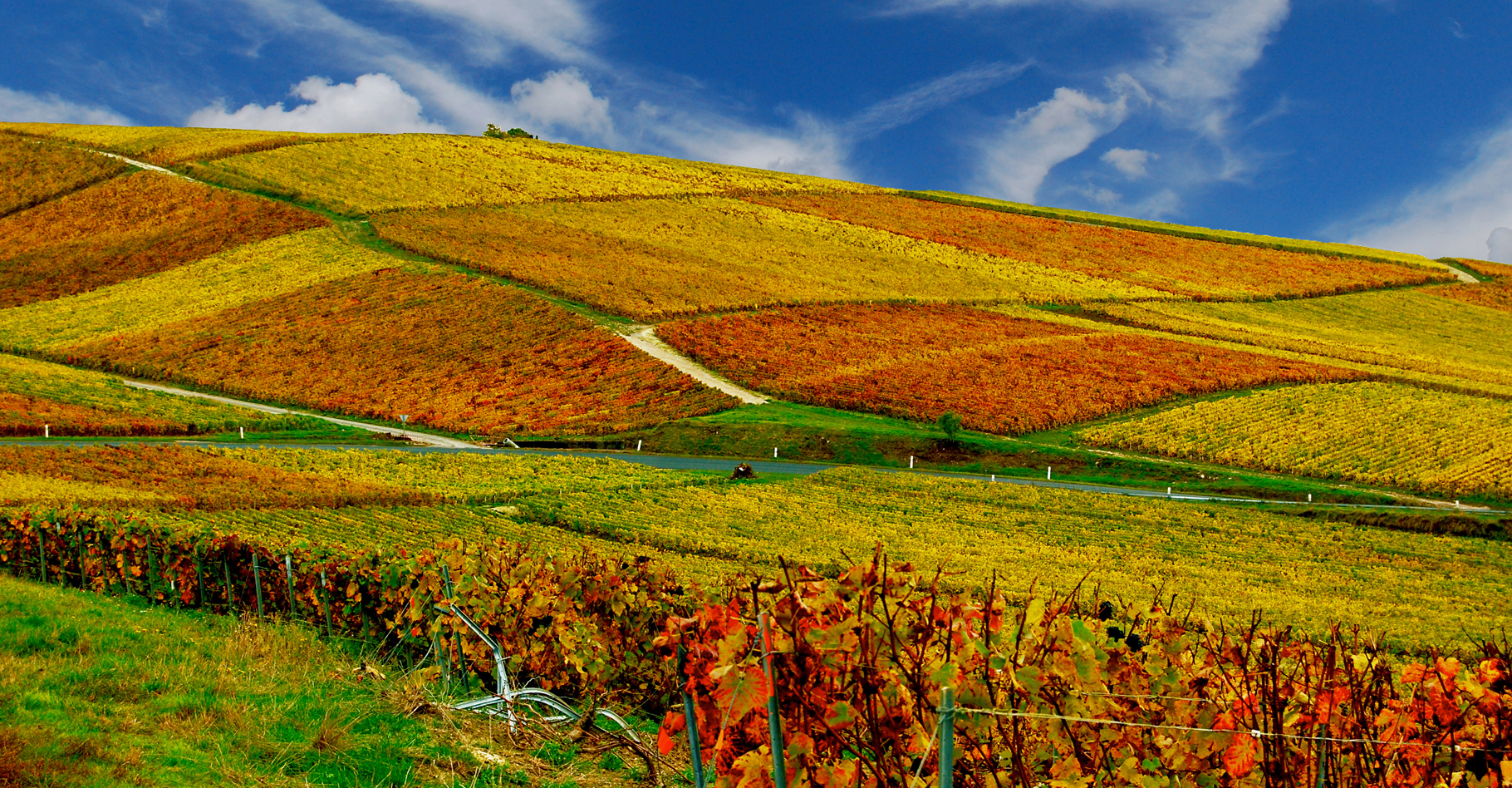 L'analyse du vignoble français par un géologue montre toute l'importance du terroir. © DR