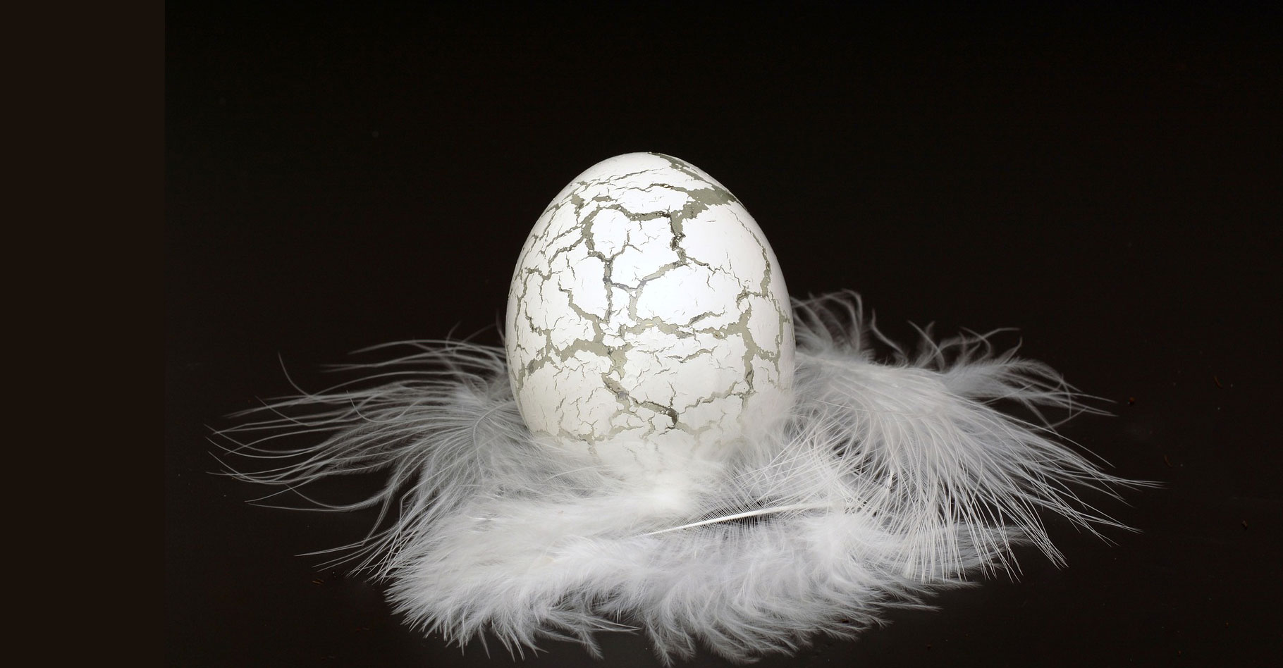 L'œuf valseur ou œuf tournant : inertie et gravité