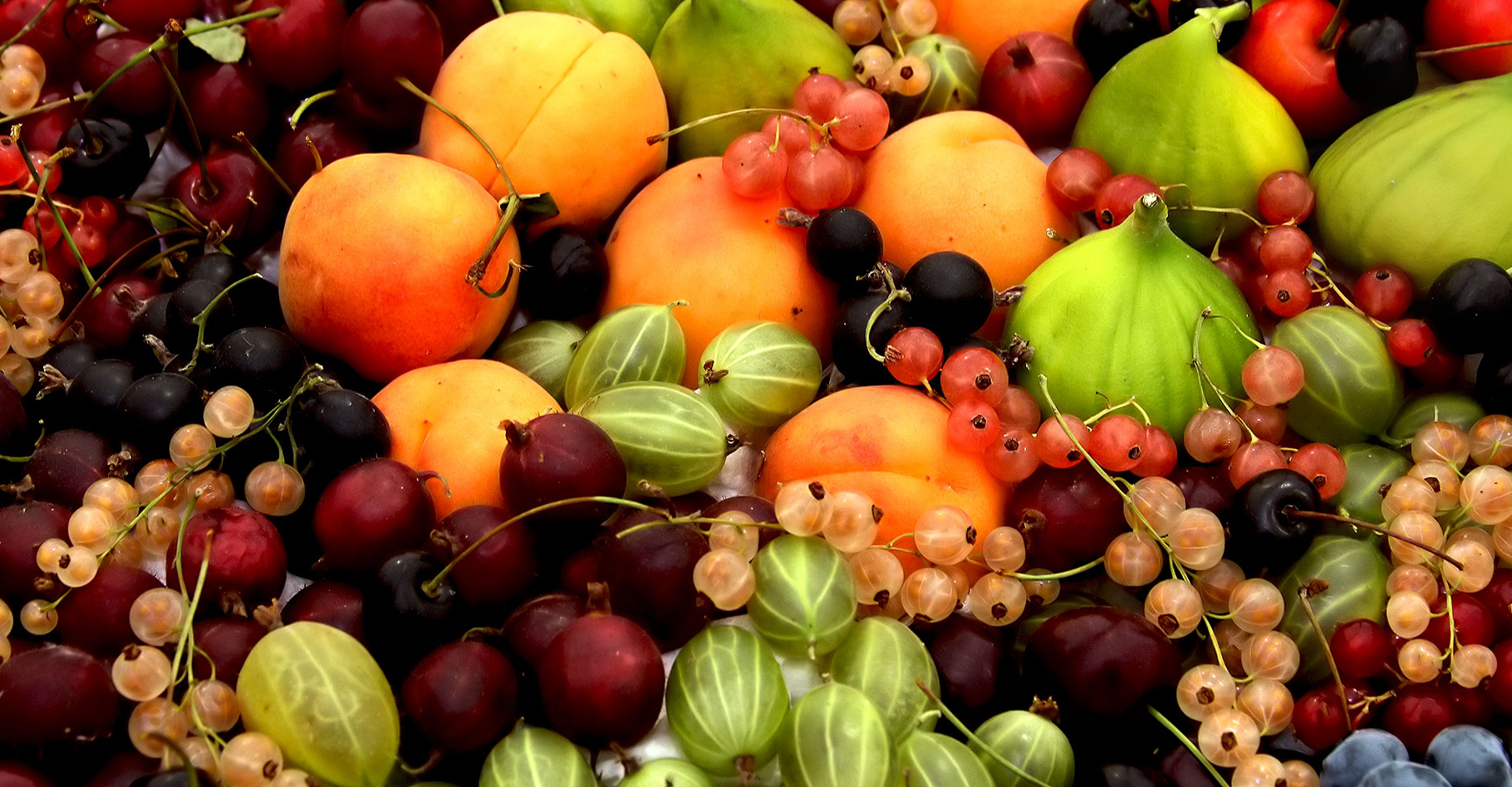 Fruits divers la nutrigénomique serait une piste pour une nutrition personnalisée. © Leo Reynolds - CC BY-NC 2.0