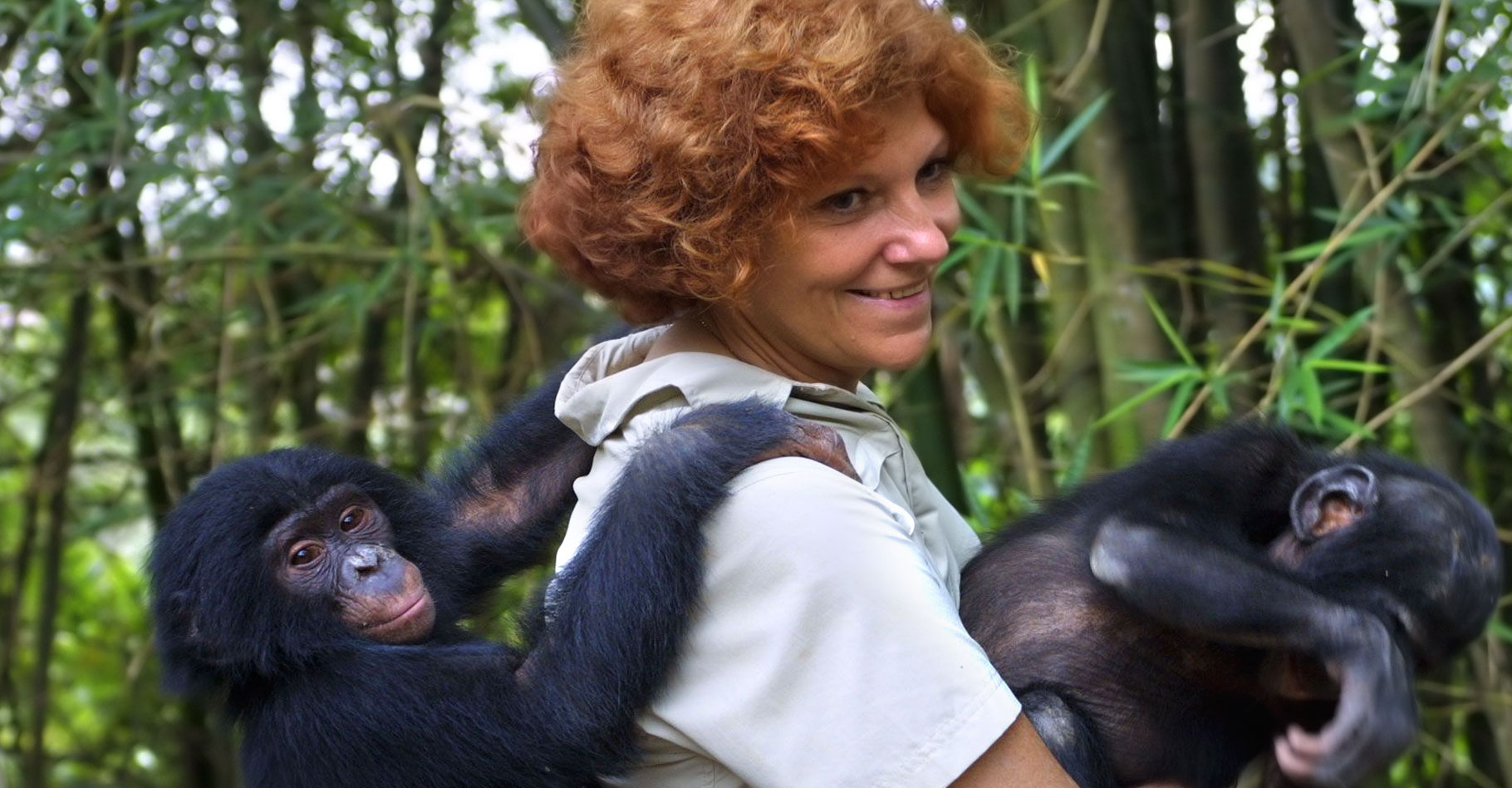 Claudine André : une Dian Fossey pour les bonobos