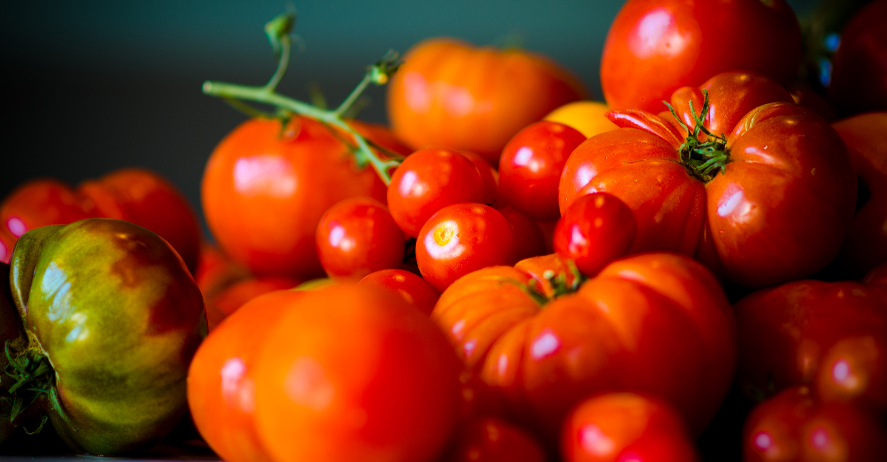 Variétés de tomates provençales. © N. Wong, CC by-nc 2.0