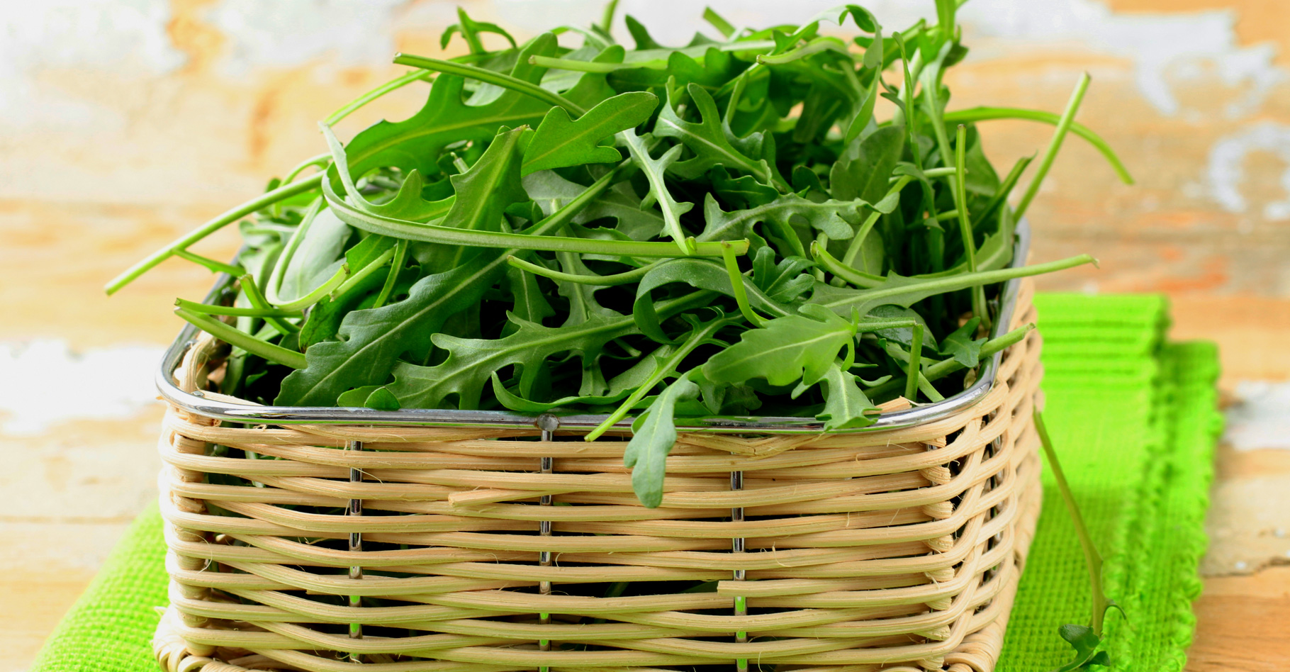 Salade : la roquette, une plante à cultiver dans son jardin