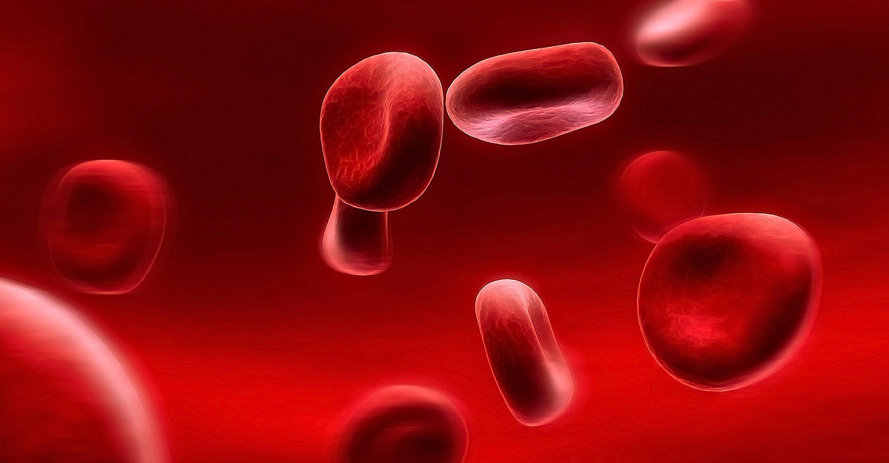 Le sang circule dans les artères.&nbsp;© Zhouxuan -&nbsp;CC BY-SA 2.0