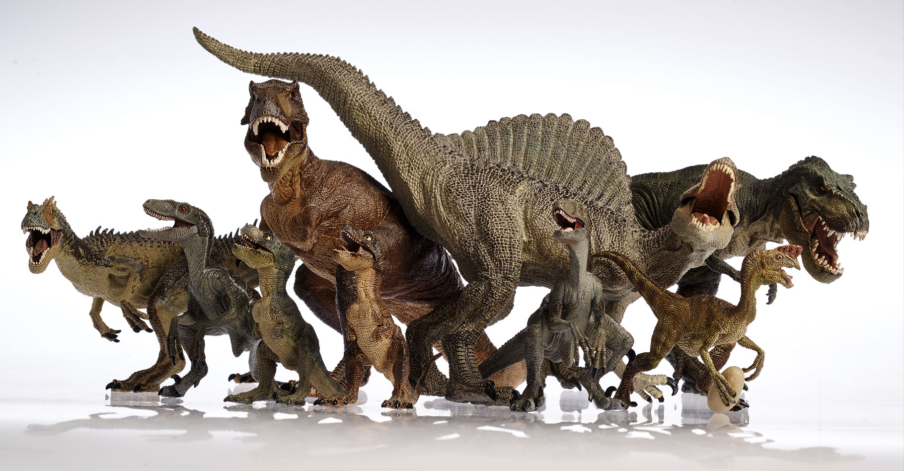 Évolution des dinosaures : les raisons d'un succès évolutif