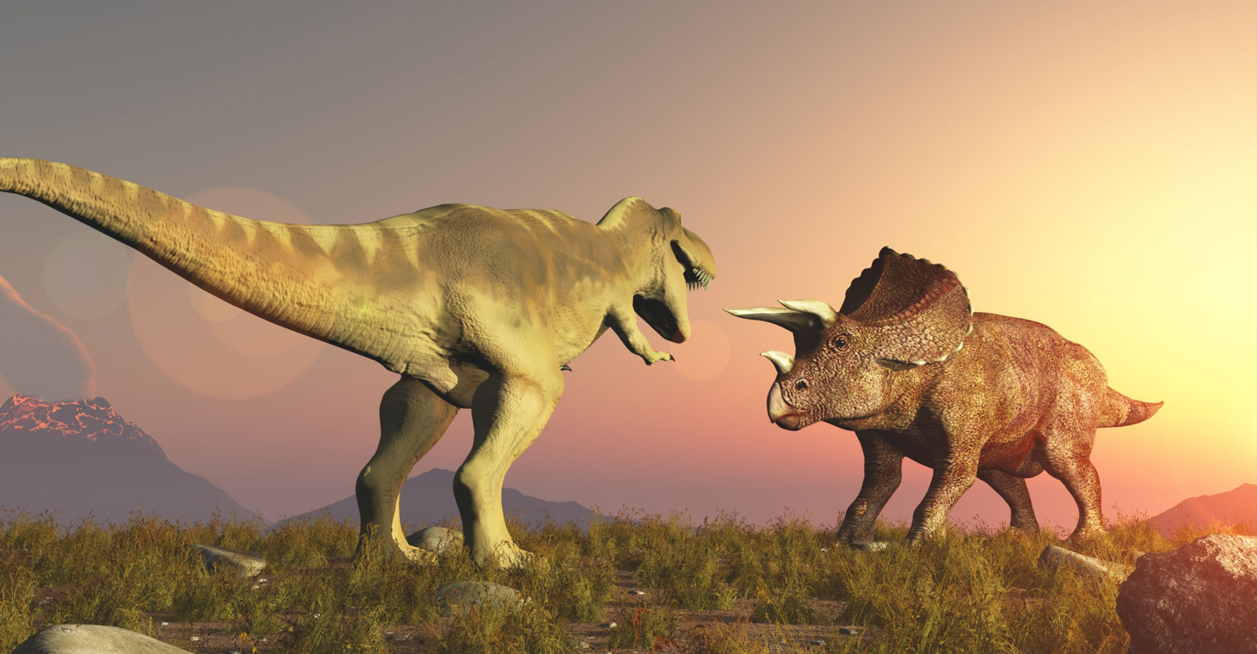 Dinosaures herbivores et carnivores : quel rapport évolutif ?