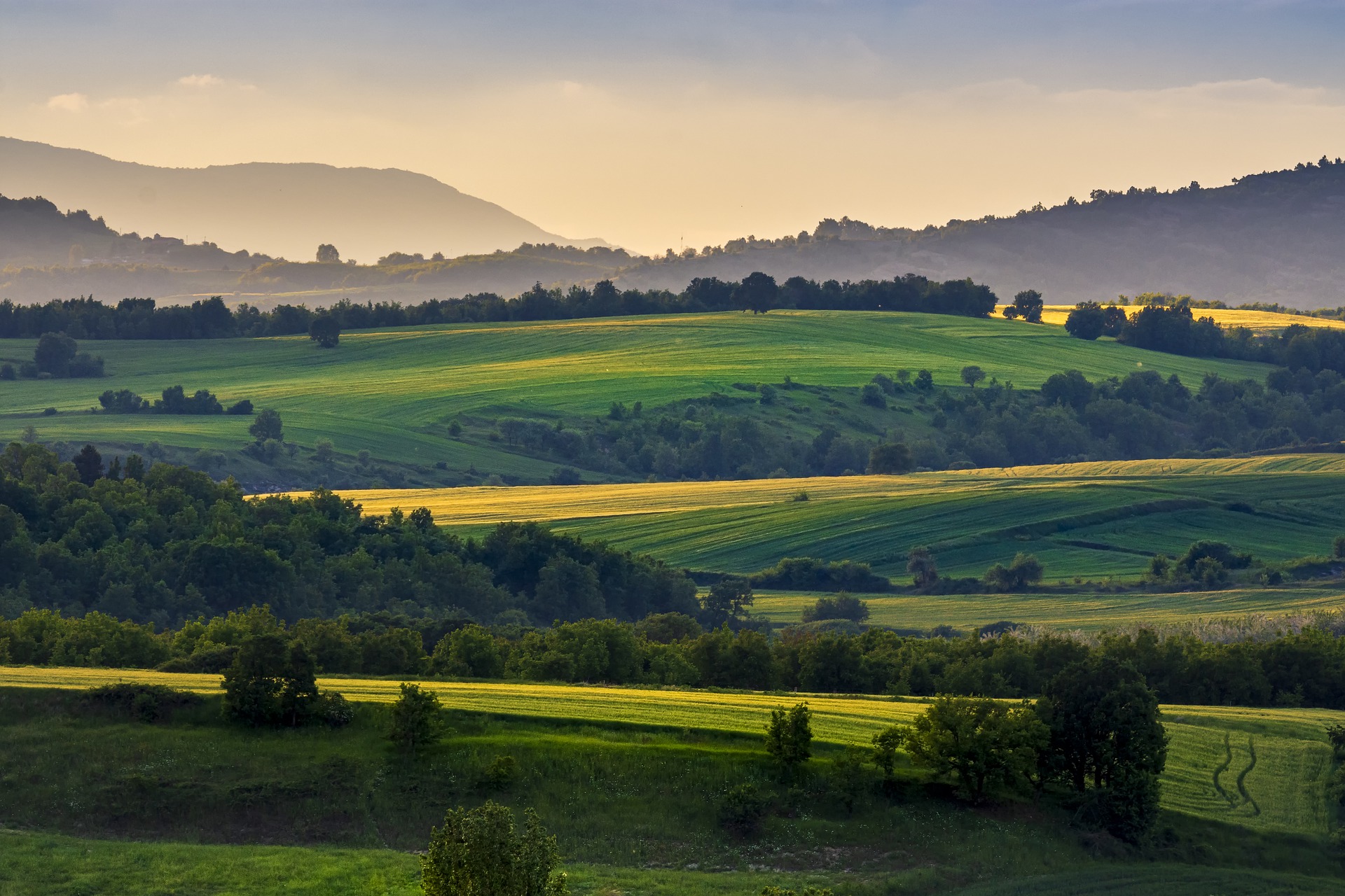 Le rôle de l'agriculture dans la lutte contre le réchauffement climatique. © Photos-Kast, Pixabay, DP