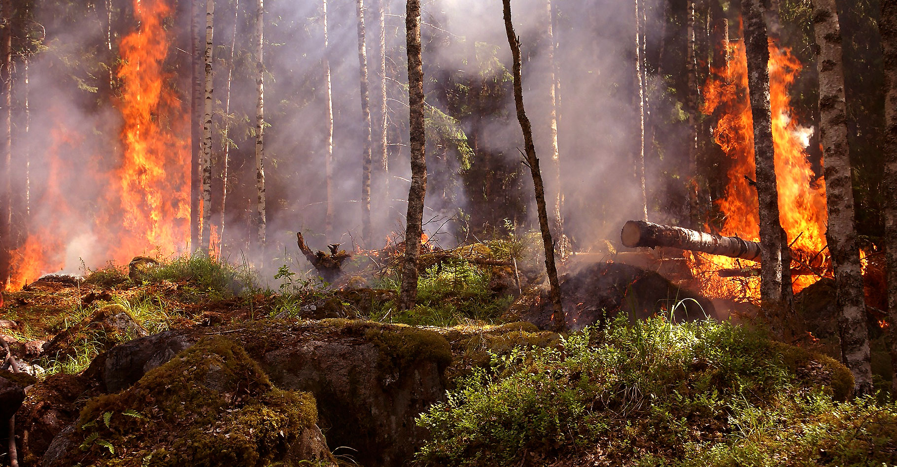 Les risques de feux de forêts. © Ylvers, Domaine public