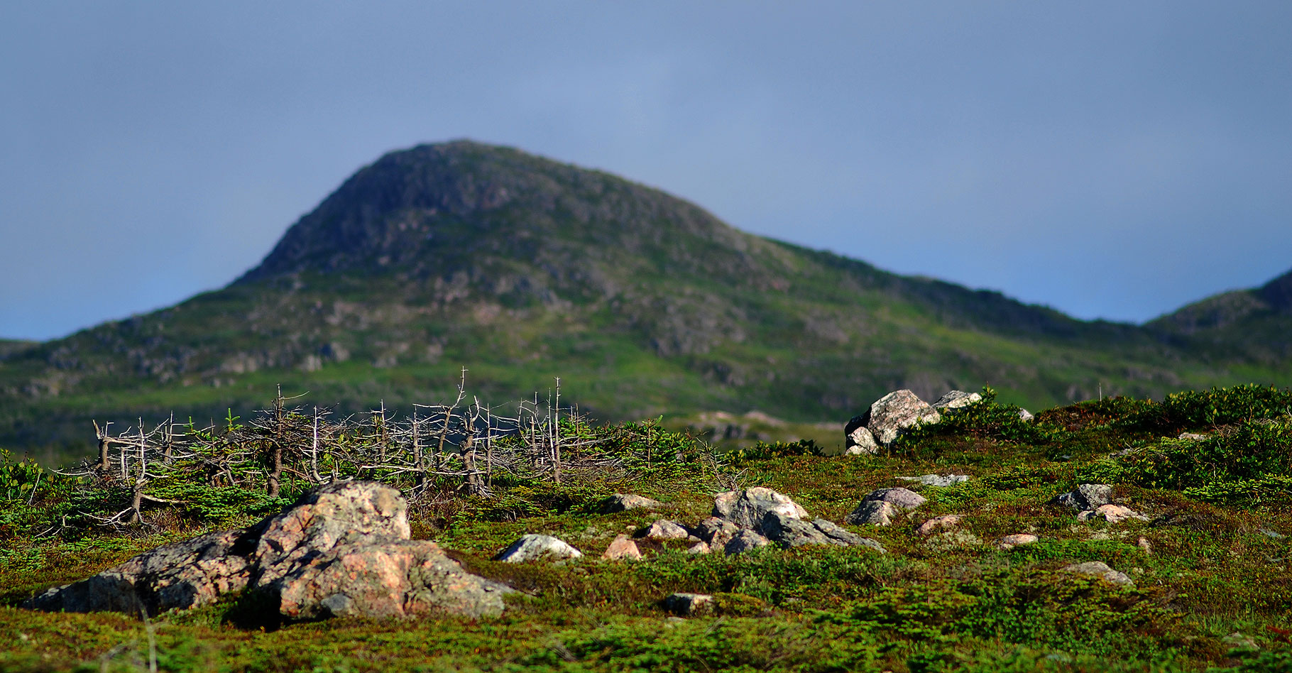 Les tourbières de St Pierre et Miquelon.&nbsp;© Gord McKenna - CC BY-NC 2.0