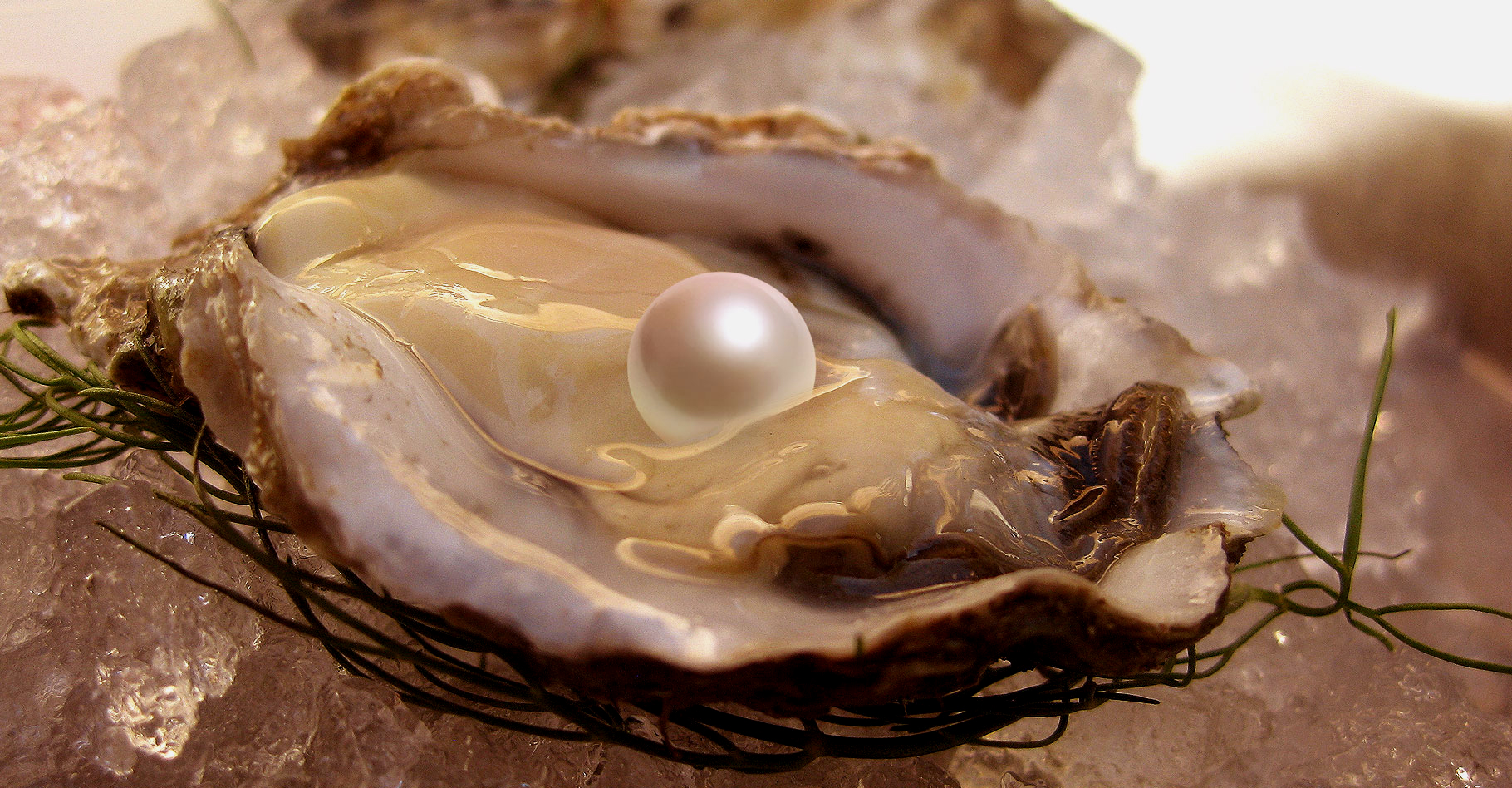 La splendeur des perles de Tahiti. © Wally Gobetz, CC by-nc 2.0