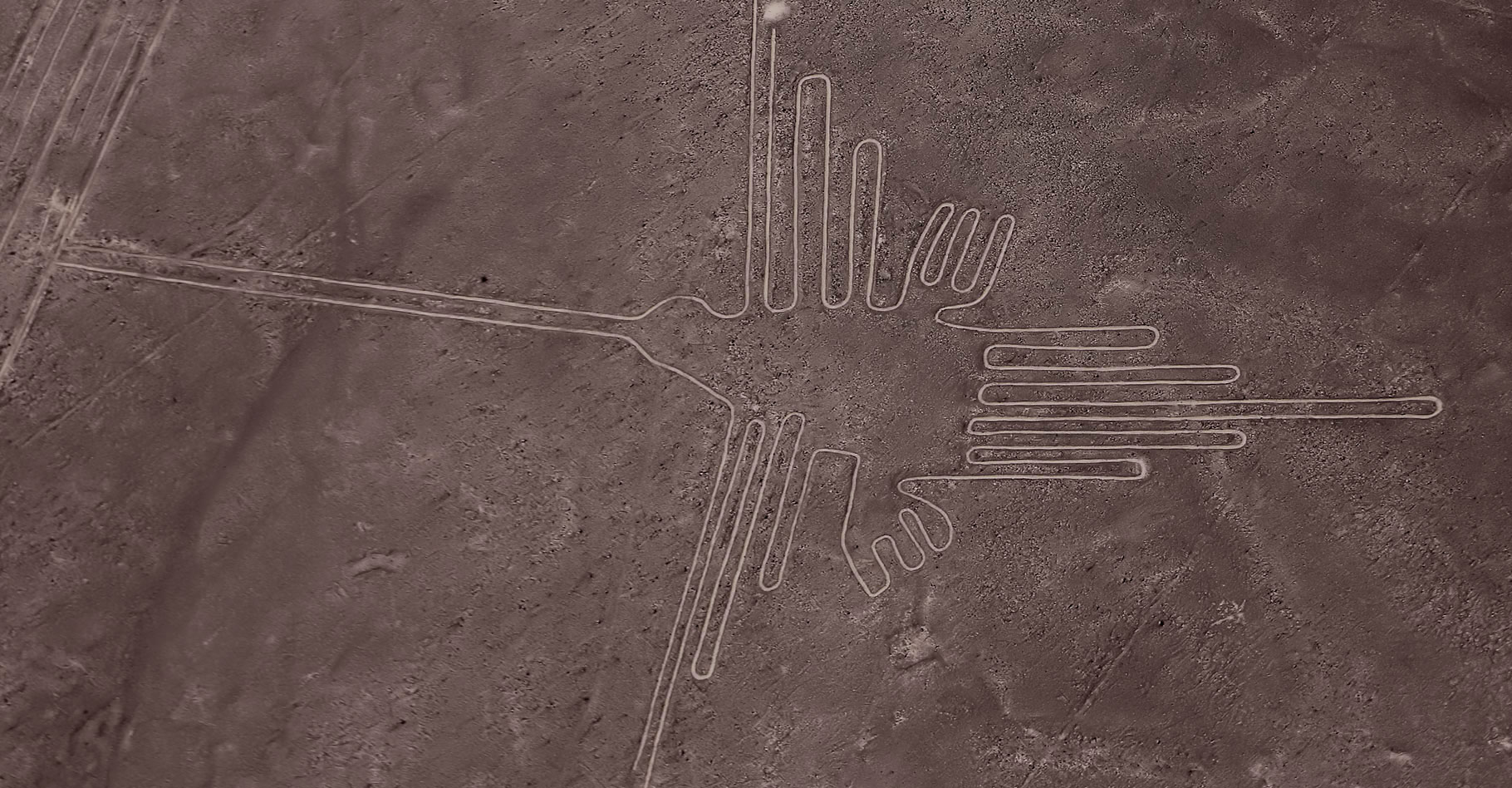 Découvrez l'art rupestre de l'ancien Pérou. ici, géoglyphe de Nazca : représentation d'un colibri. © François Bianco, Wikimedia Commons, CC by-sa&nbsp;2.0