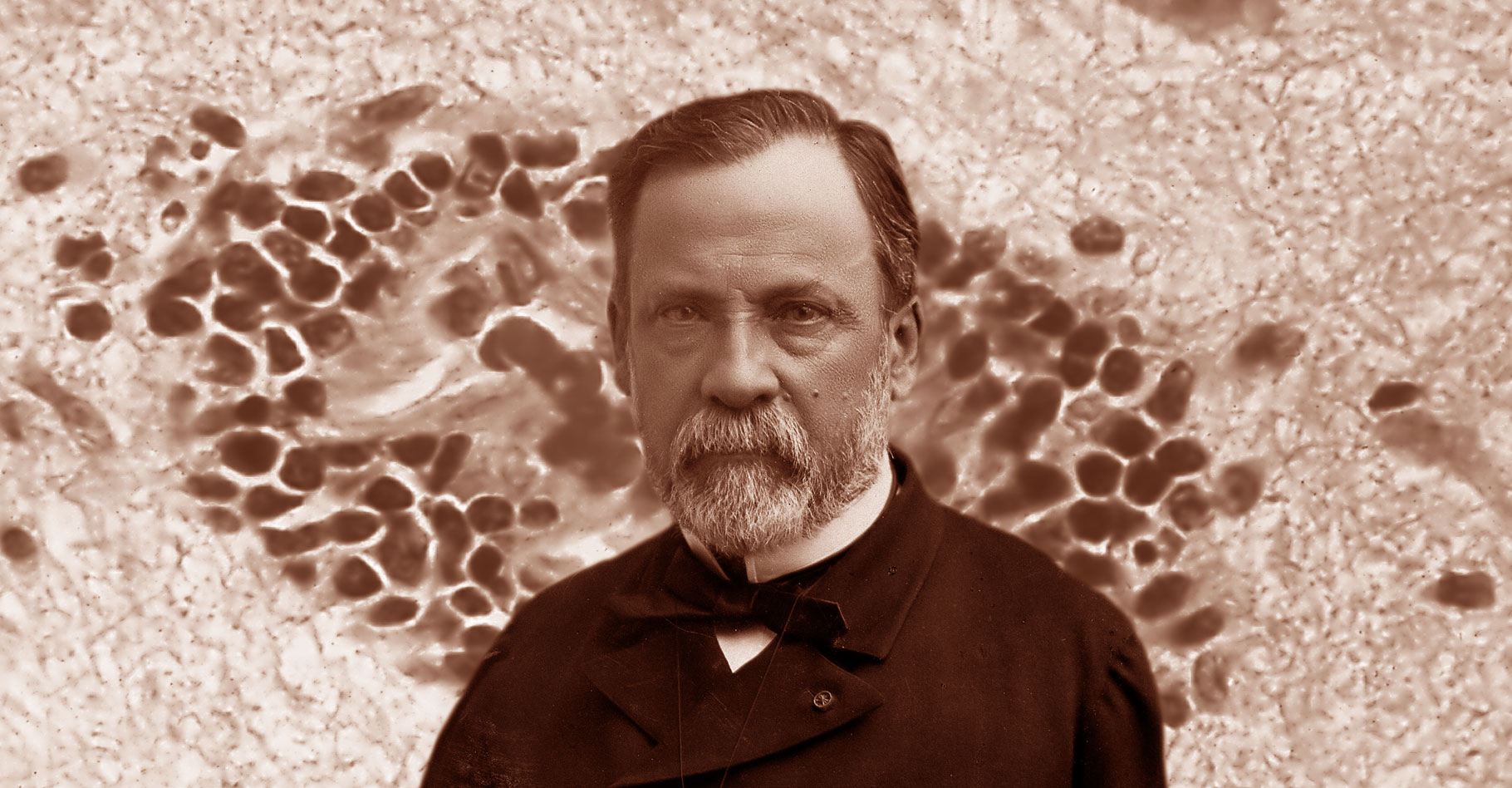 Louis Pasteur et le vaccin contre la rage