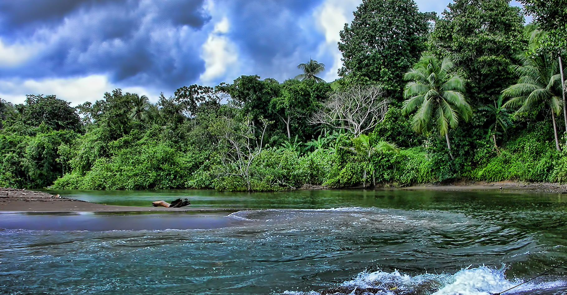 Forêt tropicale du Rio Aqualitas Costa Rica. © Trish Hartmann - CC BY-NC 2.0