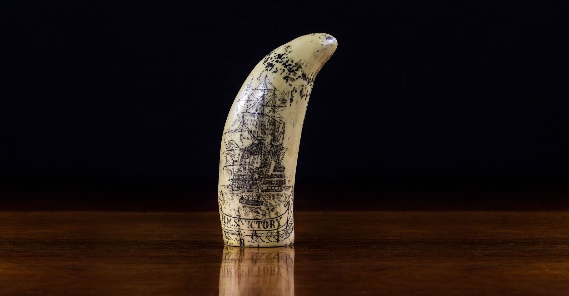 Prises d'ivoire et d'objets en ivoire faites par les douanes françaises