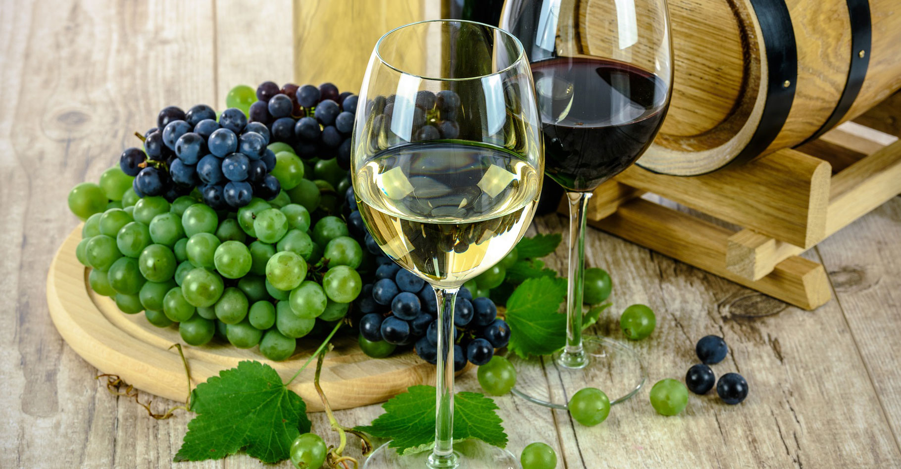 Vin de Touraine : le chenin, cépage blanc