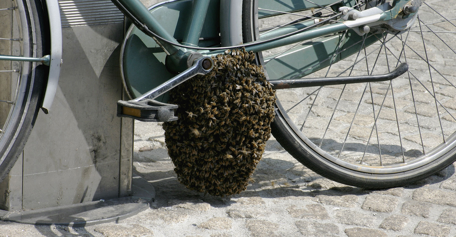 Les quatre saisons des travaux de votre ruche