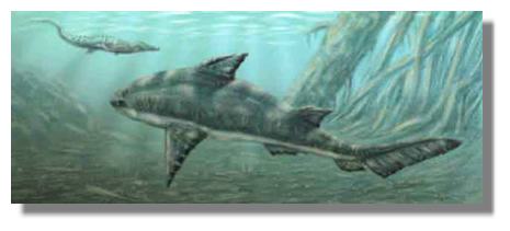 Le Mésozoïque et l'apparition des requins modernes