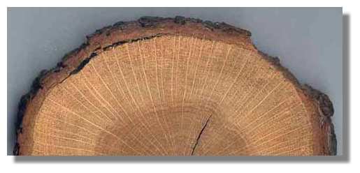 Papier à Motif Bois De Chêne Brun SIGEL DP684 - Format A5, 90g/m², 100 Feuilles (pour Impression)