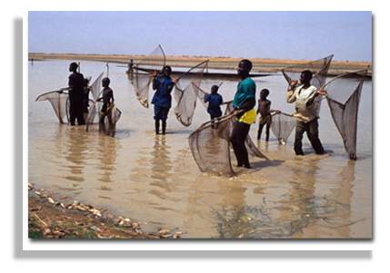 La pêche dans le Delta Central du Niger