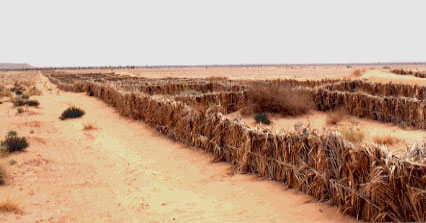 Les milieux secs confrontés à la désertification à travers les traumatismes de l'érosion éolienne