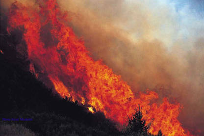 Trackers : une intervention type sur un feu de forêt