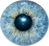 Biométrie, rétine et iris : regardez-moi dans les yeux !