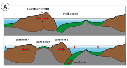 La tectonique des plaques