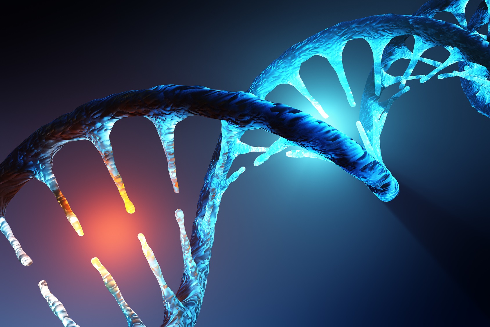 Nous connaissons l’ADN sous la forme d’une hélice double brin. Mais il présente parfois d’autres structures. Une nouvelle forme a ainsi été découverte dans des cellules humaines. © JohanSwanepoel, Fotolia