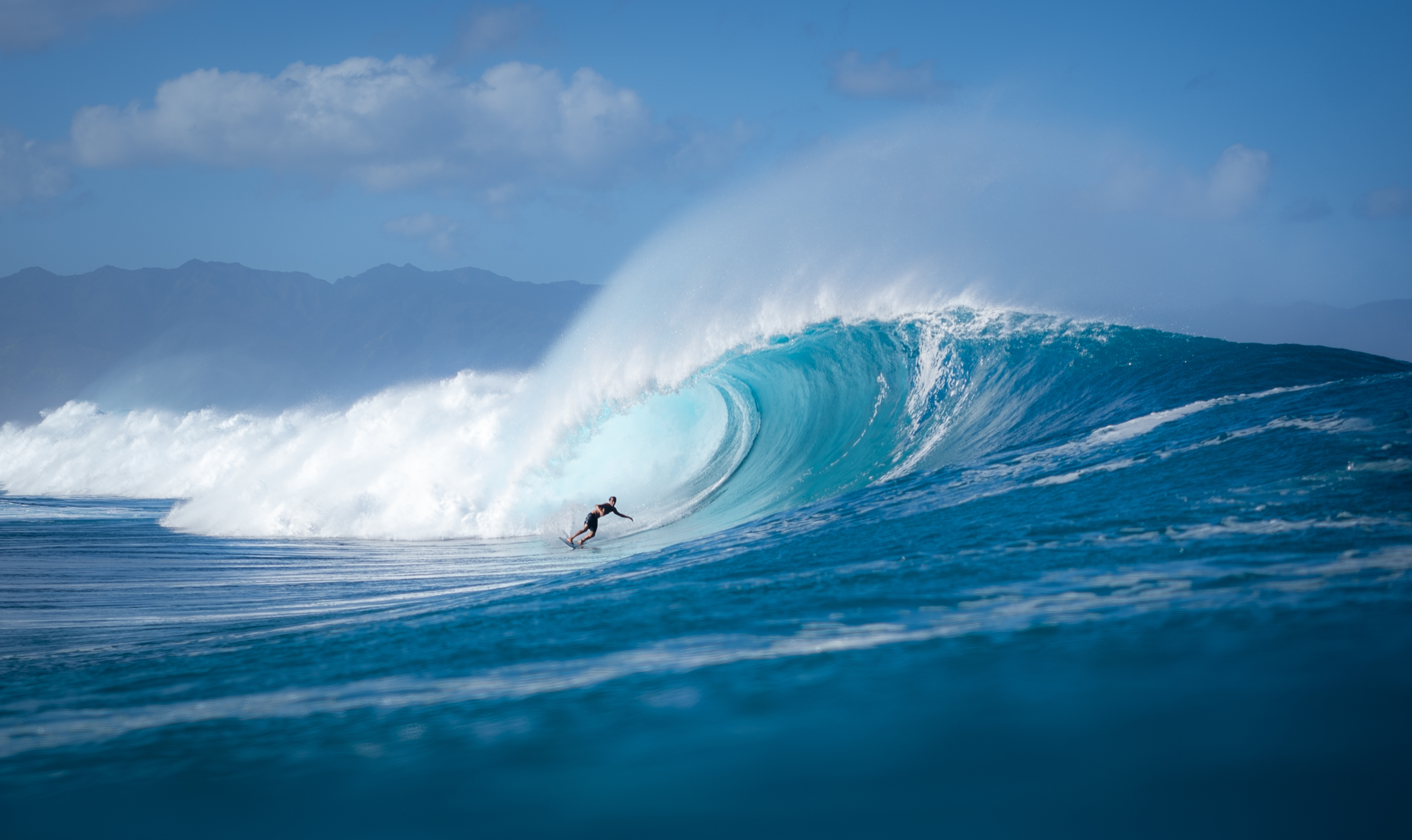 Une ONG rassemblant des surfeurs se&nbsp;mobilise pour protéger des zones côtières où la biodiversité est étroitement liée aux&nbsp;vagues de haute qualité.&nbsp;© derek, Adobe Stock