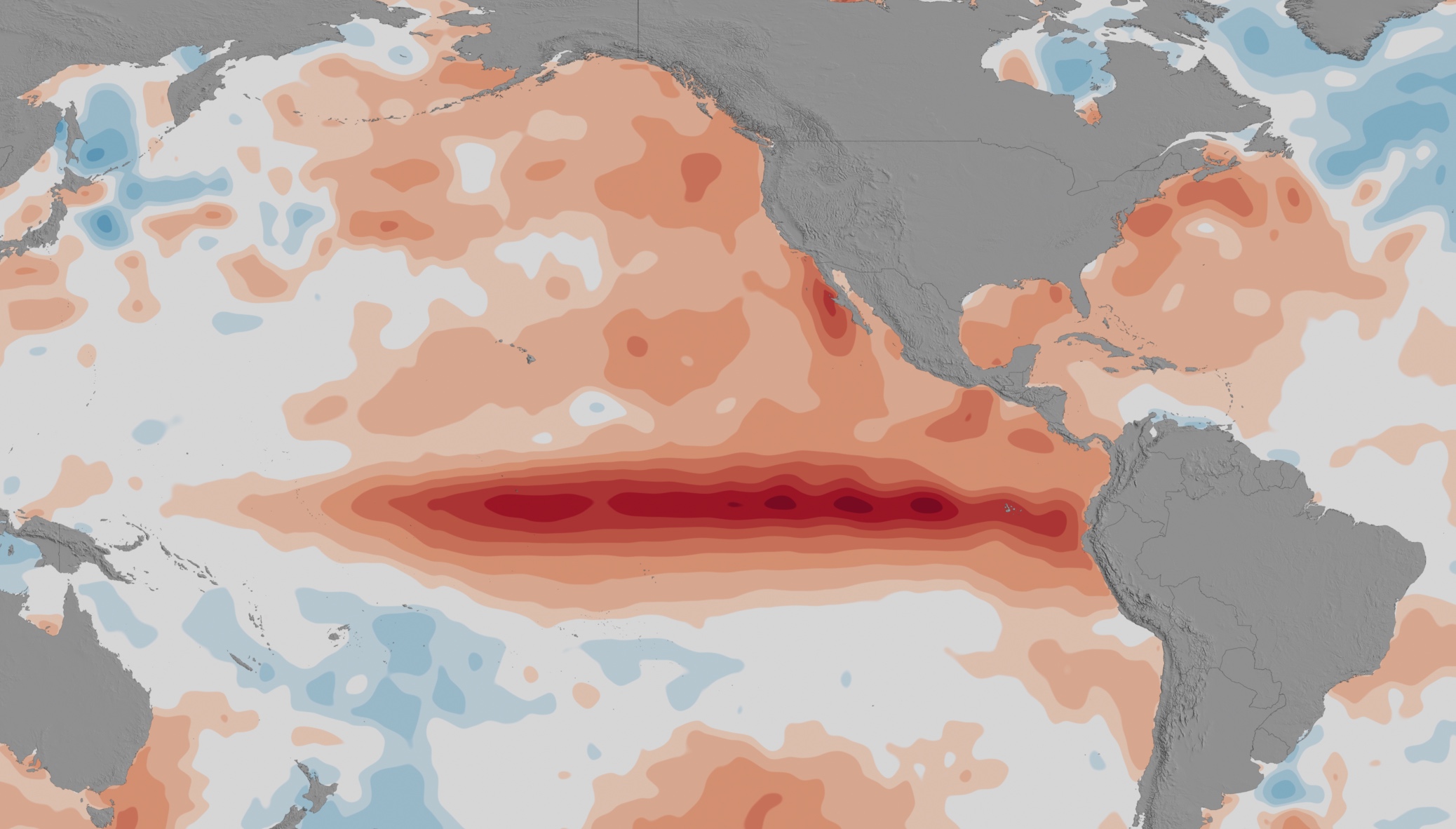 Les températures de la surface de l'océan Pacifique mettent en évidence clairement le&nbsp;phénomène météorolique&nbsp;El Niño, en 2015-2016.&nbsp;© Nasa