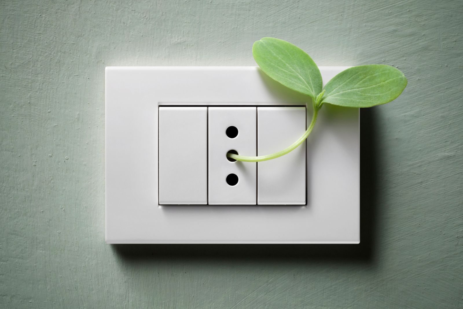 L'électricité verte est-elle 100 % écolo ? © malerapaso, iStock