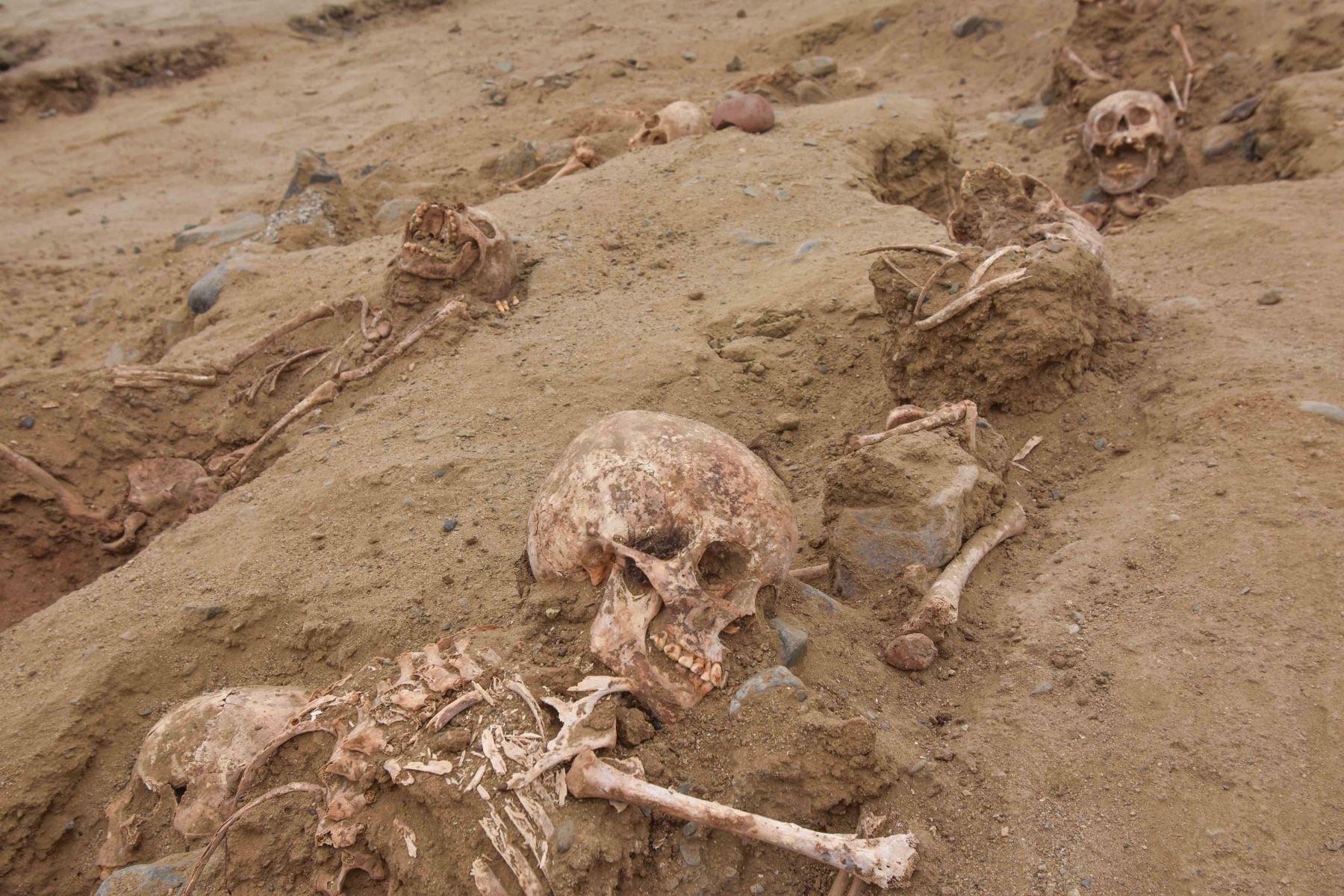La découverte terrible de 76 dépouilles d'enfants de la culture Chimú lors des fouilles effectuées en juillet et août de cette année 2022. © Andina, Huanchaco Archaeological Program (Pahuan)