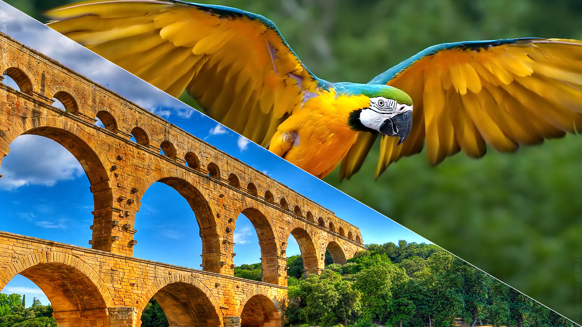 Parc ornithologique de Pont de Gau