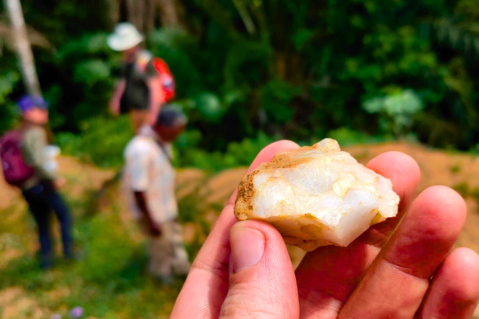 Perdus depuis des millénaires, ces outils découverts réécrivent l’histoire de l’humanité en forêt tropicale. © Jimbob Blinkhorn, MPG, iStock