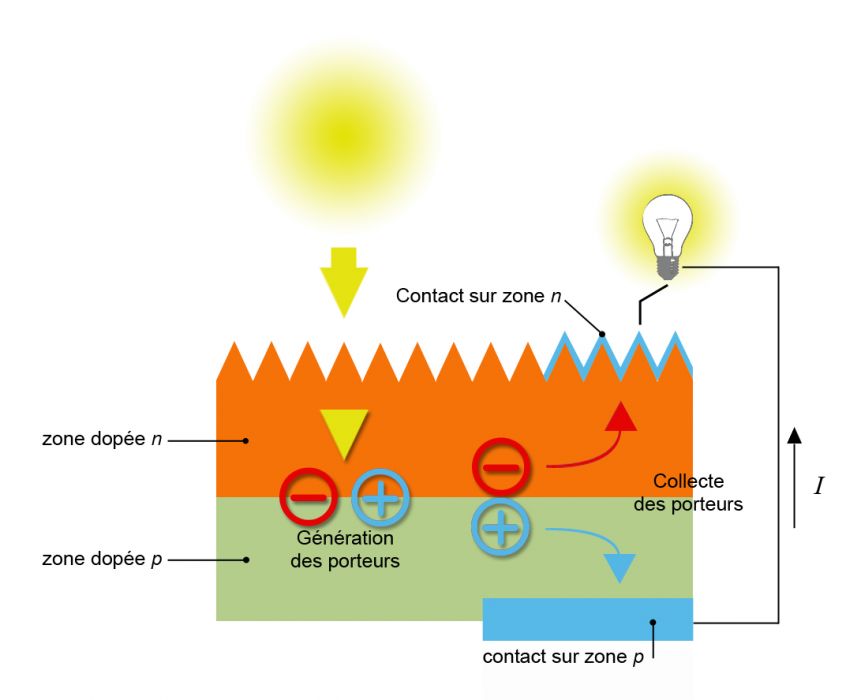 Anatomie d’une cellule photovoltaïque