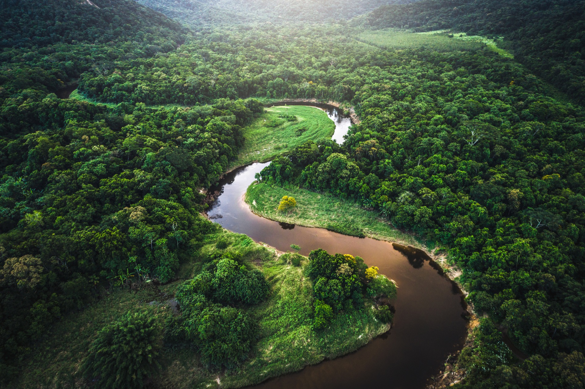 L'Amazonie est la deuxième forêt la plus grande du monde, et sa densité ne permet pas de trouver facilement tous les secrets archéologiques qui s'y cachent. © FG Trade, iStock