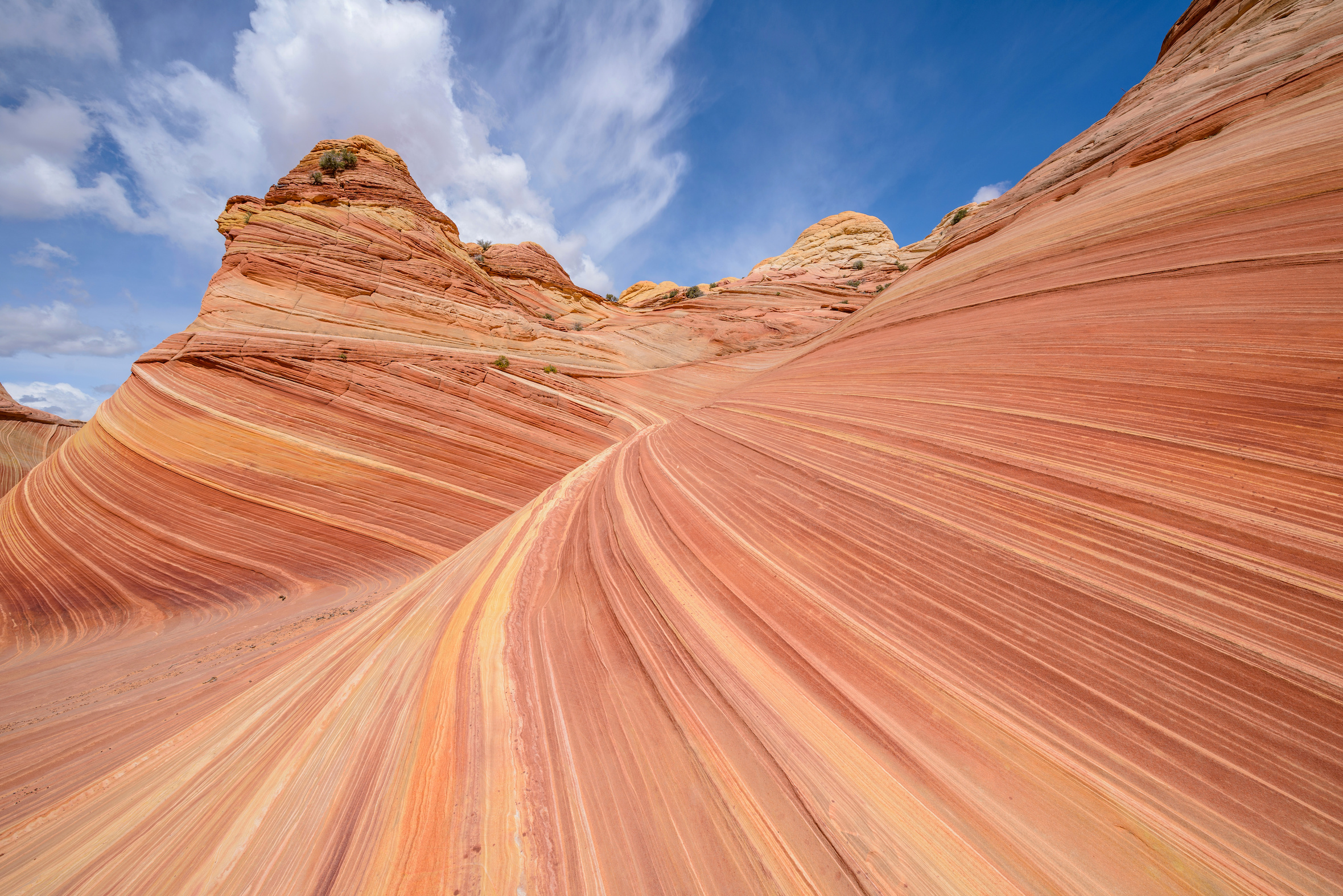Le grès qui forme Paria Canyon-Vermilion Cliffs Wilderness (aux États-Unis) est une roche sédimentaire. © Sean Xu, Adobe Stock
