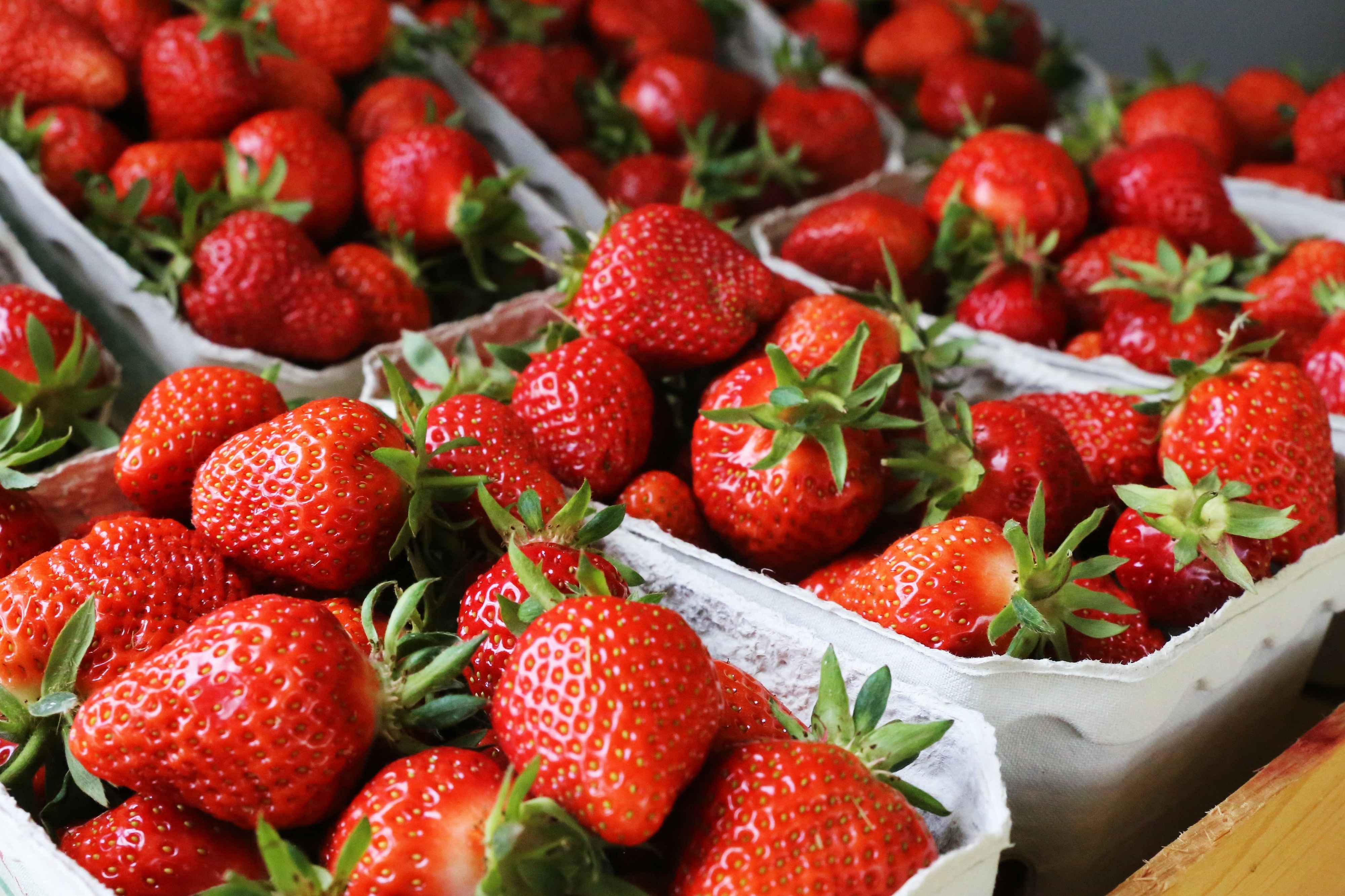 Les fraises sont les fruits les plus contaminés par les pesticides PFA, selon une étude britannique sur la contamination des fruits et légumes aux « polluants éternels ». © U. J. Alexander, Adobe Stock