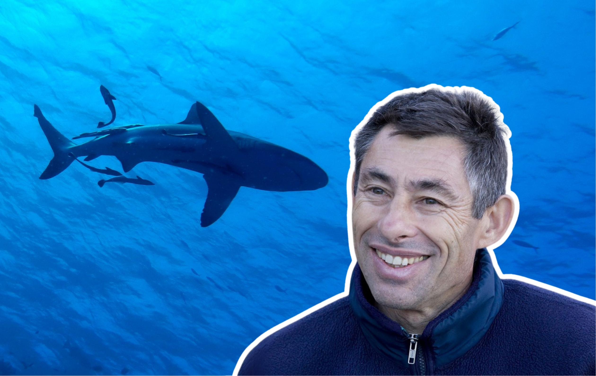 François Sarano a consigné ses recherches dans des ouvrages tels que Au nom des requins ou Le retour de Moby Dick. © Sarano, Futura