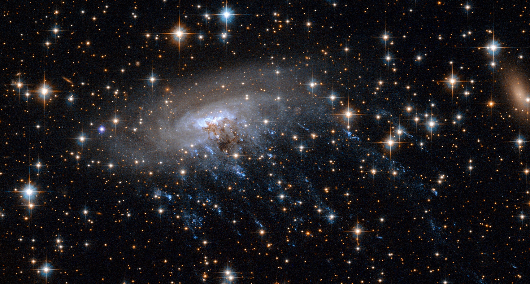 Cette nouvelle image prise par Hubble montre la galaxie spirale ESO 137-001, encadrée par un arrière-plan lumineux alors qu'elle se déplace au cœur de l'amas de galaxies Abell 3627. Cette image capture non seulement la galaxie et son arrière-plan avec des détails époustouflants, mais aussi quelque chose de plus spectaculaire : des traînées bleues intenses jaillissant de la galaxie, visibles en train de briller dans la lumière ultraviolette. Ces traînées sont en fait des flux de gaz chauds et vaporeux qui sont arrachés à la galaxie par son environnement alors qu'elle se déplace dans l'espace. Ce violent déshabillage galactique est dû à un processus connu sous le nom de décapage par pression dynamique, une force de traînée ressentie par un objet se déplaçant dans un fluide.ESO 137-001 est un exemple de ce que l'on appelle une galaxie méduse. © NASA, ESA   