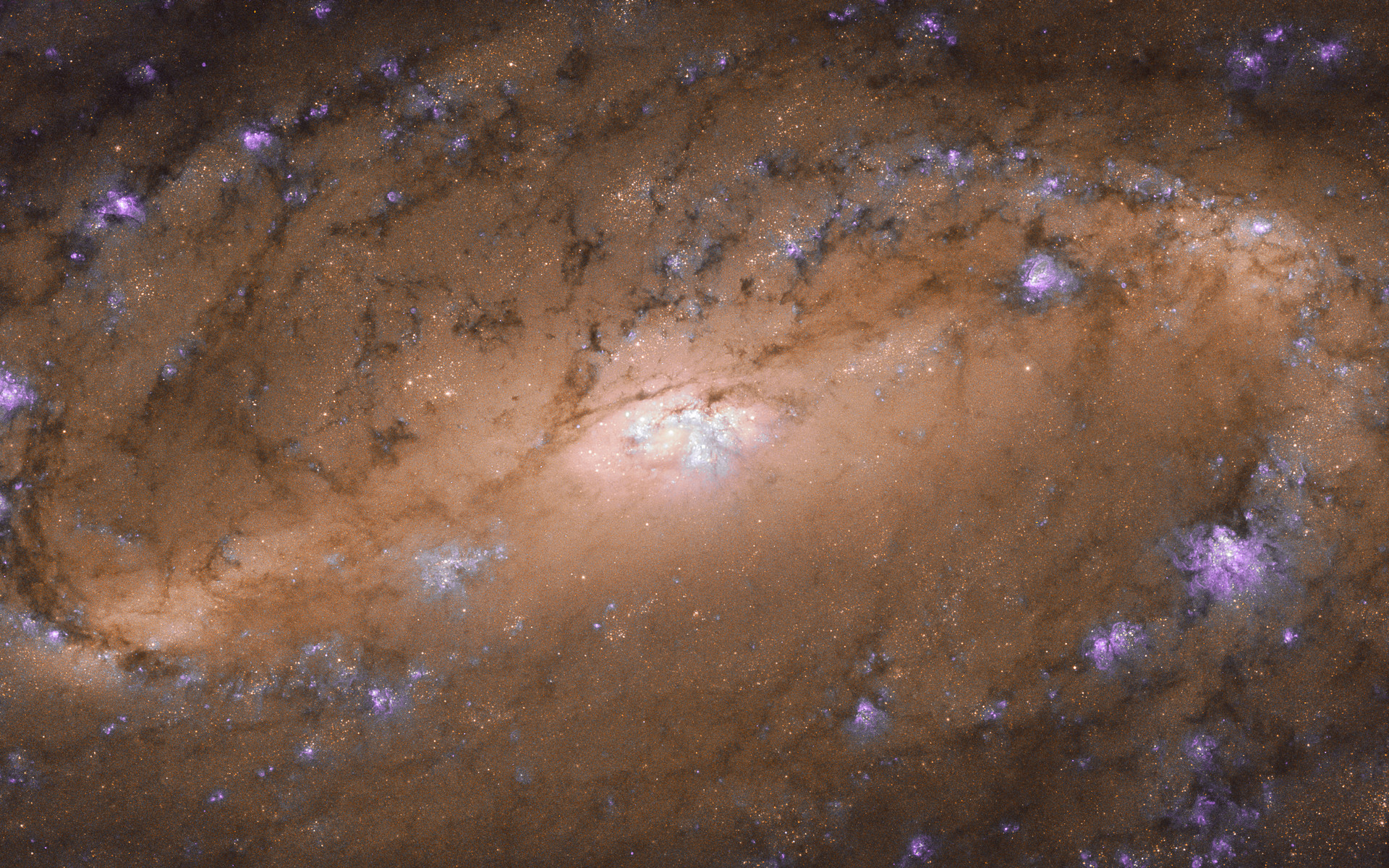 Sur cette image prise par Hubble, on voit NGC 2903, une galaxie spirale barrée située dans la constellation du Lion à environ 25 millions d'années-lumière de la Voie lactée. © Nasa, ESA