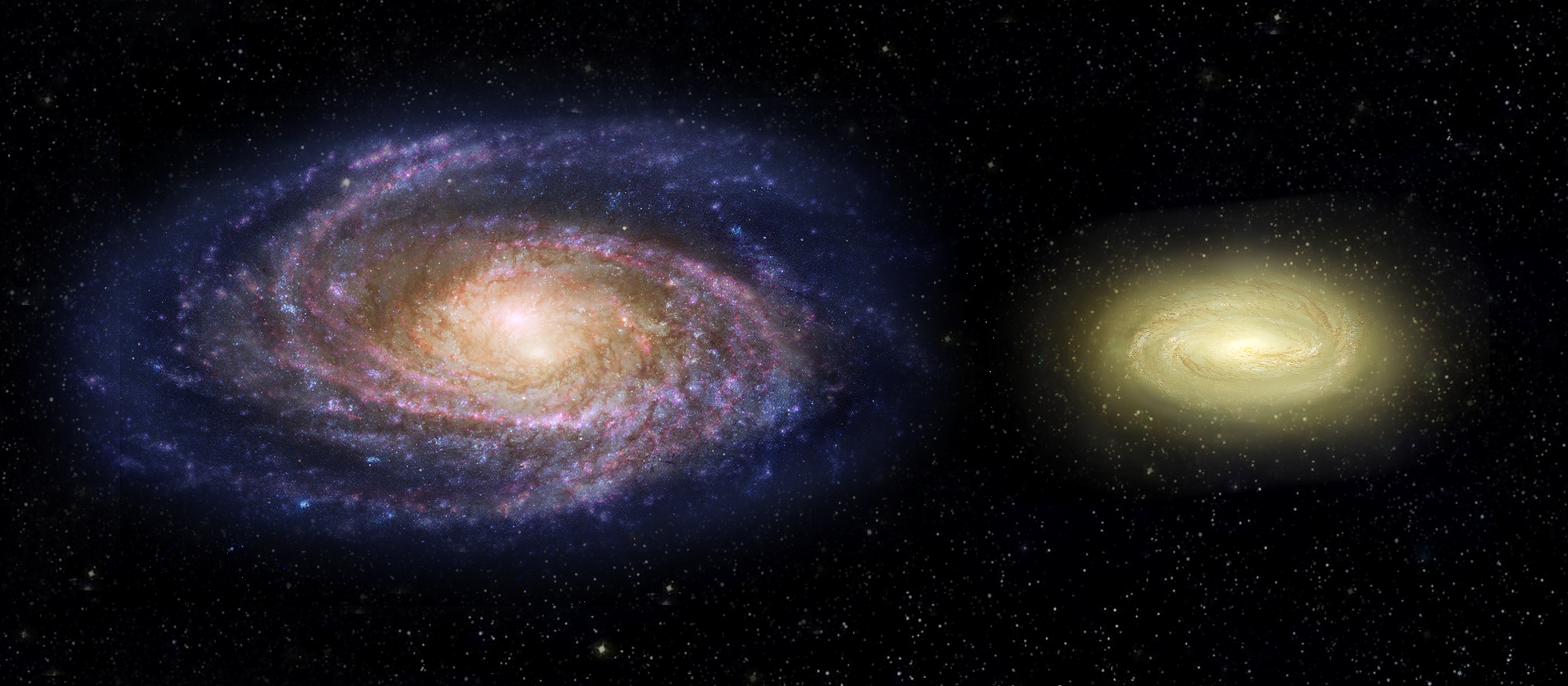 Sur cette vue d'artiste, la Voie lactée est comparée à MACS2129-1 qui, bien que deux fois plus petite, contiendrait trois fois plus de masse. Étrangement, MACS2129-1 n'est plus un lieu de formation de jeunes étoiles bleues. © Nasa, ESA, Z. Levy STScI 