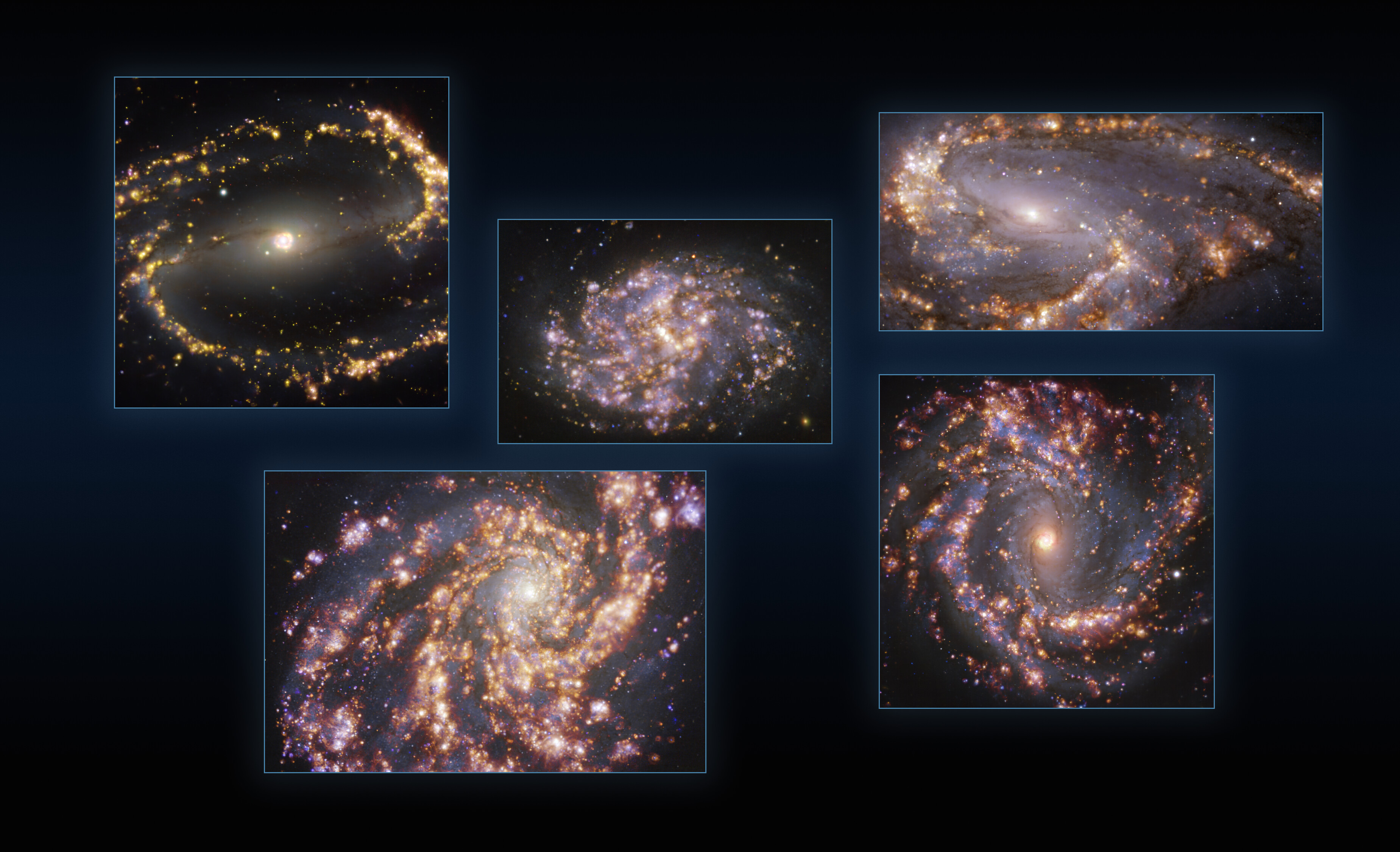 Cette image combine des observations des galaxies proches NGC 1300, NGC 1087, NGC 3627 (en haut, de gauche à droite), NGC 4254 et NGC 4303 (en bas, de gauche à droite) prises avec le Multi-Unit Spectroscopic Explorer (Muse) sur le Very Large Telescope (VLT) de l'ESO. Chaque image individuelle est une combinaison d'observations réalisées à différentes longueurs d'onde de lumière afin de cartographier les populations stellaires et le gaz chaud. Les lueurs dorées correspondent principalement à des nuages de gaz ionisés d'hydrogène, d'oxygène et de soufre, marquant la présence d'étoiles nouvellement nées, tandis que les régions bleutées en arrière-plan révèlent la distribution d'étoiles légèrement plus anciennes. Les images ont été prises dans le cadre du projet Phangs (Physics at High Angular resolution in Nearby GalaxieS), qui réalise des observations à haute résolution des galaxies proches avec des télescopes fonctionnant sur l'ensemble du spectre électromagnétique. © ESO, Phangs